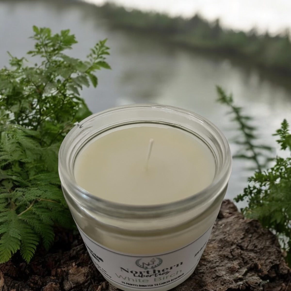 White Birch Candle
